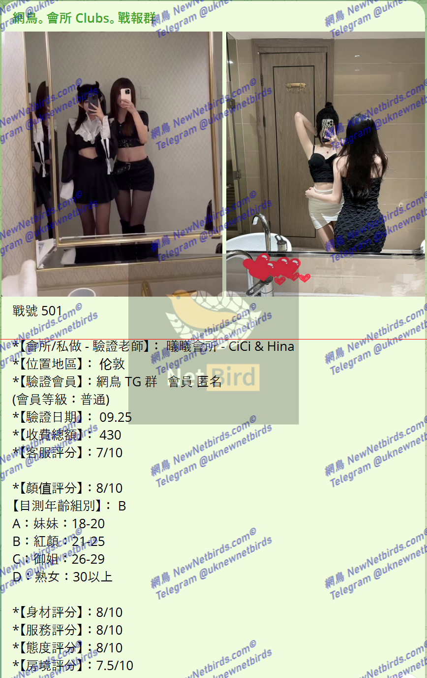 戰號 501 1.png